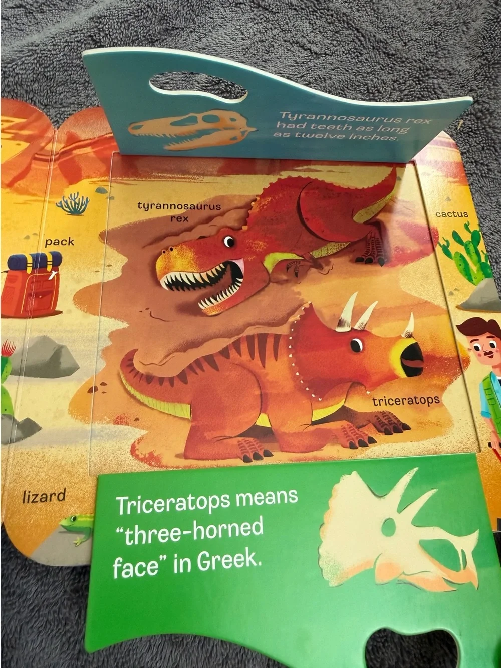 Set of (2) Peek-a-Flap Board Books (Dino & Dig!)